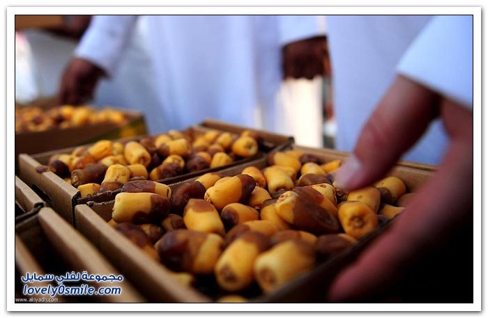 رمضان ينعش أسواق التمور