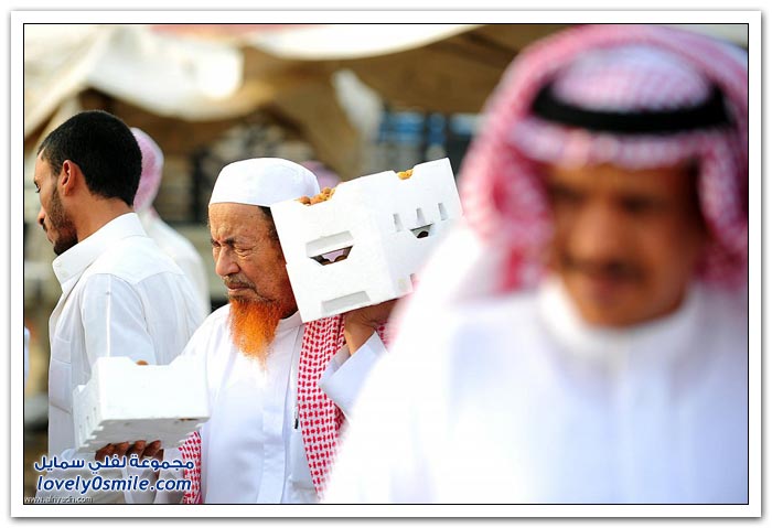 رمضان ينعش أسواق التمور