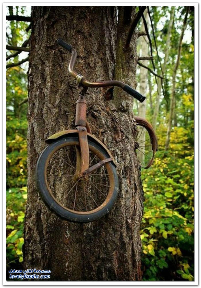 Trees-eat-things-04.