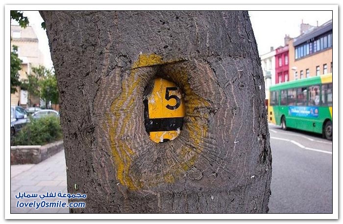 Trees-eat-things-07.