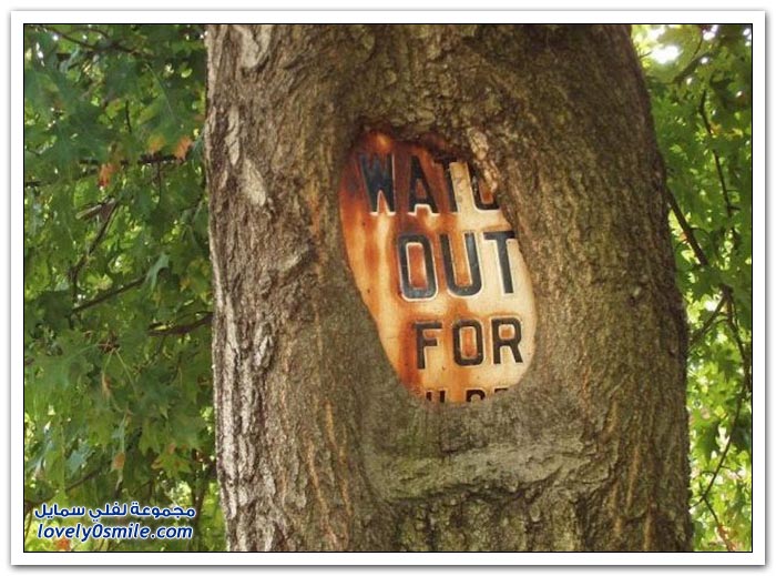 Trees-eat-things-08.