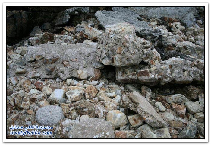 هل تستطيع أن تحدد ما في هذه الصورة؟