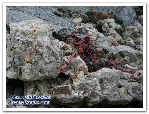 هل تستطيع أن تحدد ما في هذه الصورة؟