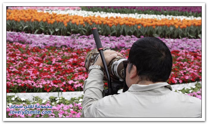     2013 Flower-Festival-in-H