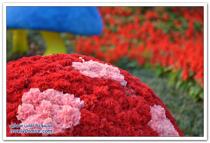مهرجان الزهور في هونج كونج