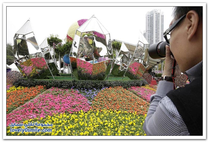     2013 Flower-Festival-in-H