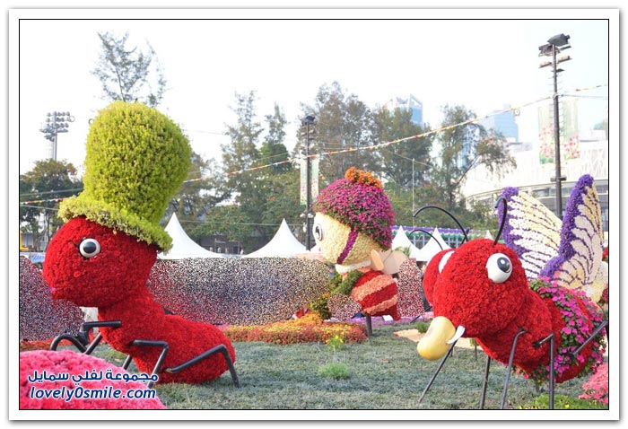     2013 Flower-Festival-in-H