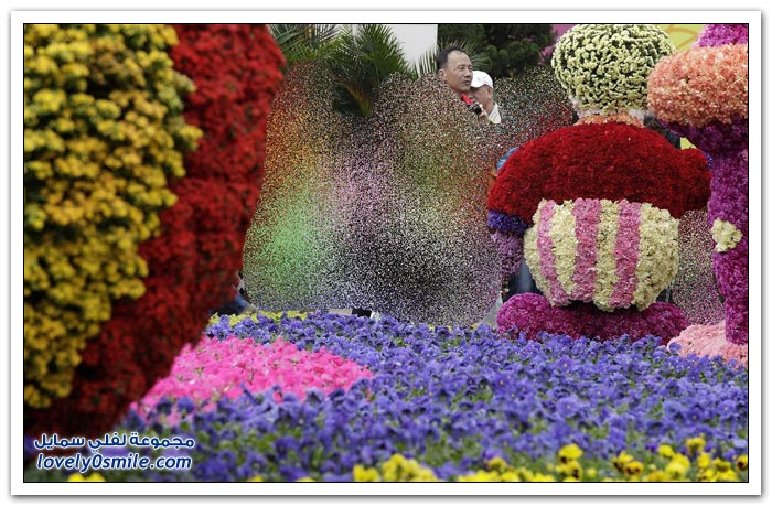     2013 Flower-Festival-in-H