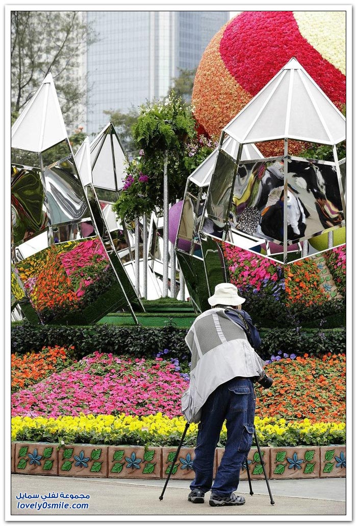     2013 Flower-Festival-in-H