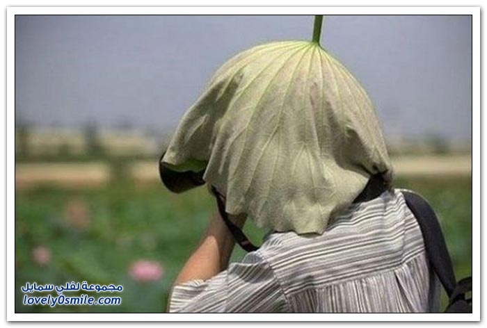 صور للمصورين أثناء التقاط الصور