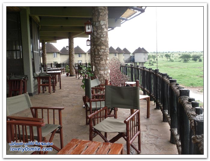 فندق ساروفا سالت في كينيا الفيلة تحت النوافذ