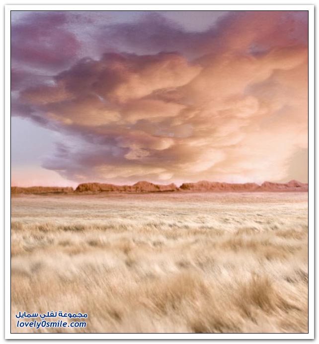 fake-nature-07.jpg