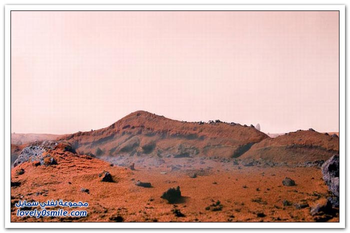 fake-nature-10.jpg