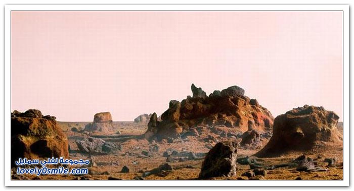 fake-nature-11.jpg