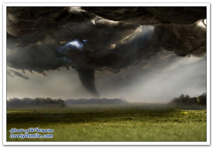 fake-nature-12.jpg