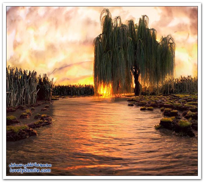 fake-nature-20.jpg