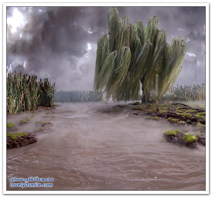 fake-nature-21.jpg