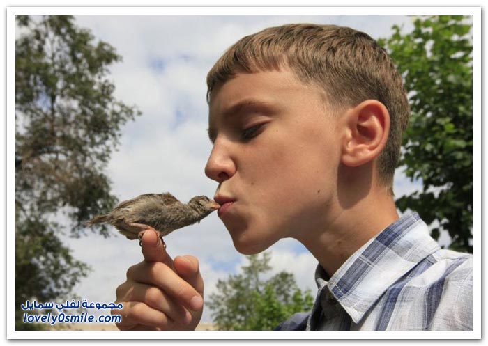 ��� ���� 12 ��� ���� �����