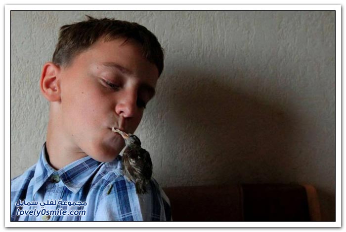 ��� ���� 12 ��� ���� �����