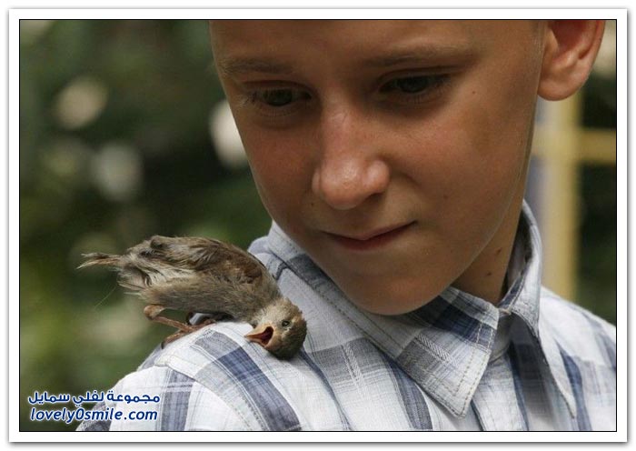 ��� ���� 12 ��� ���� �����