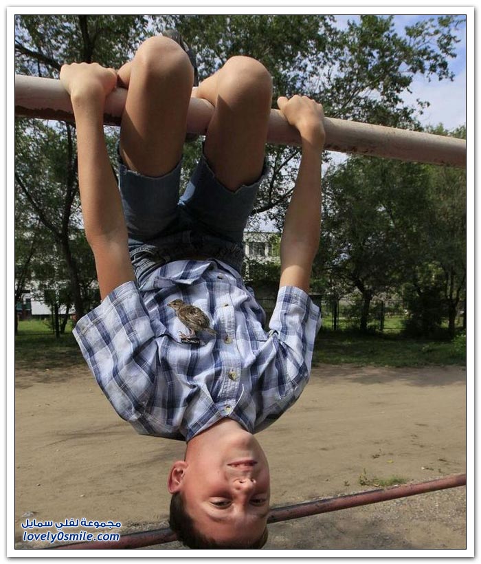 ��� ���� 12 ��� ���� �����