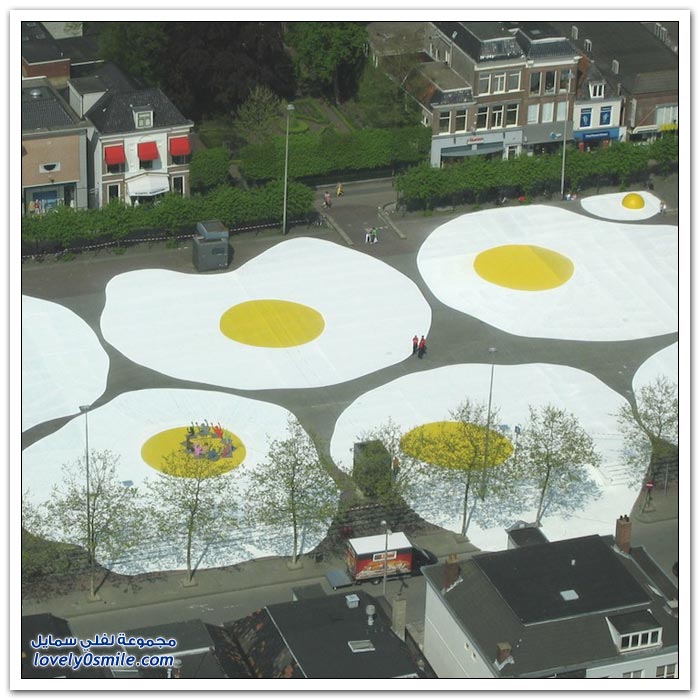 فنان هولندي يرسم البيض في ساحات أمستردام