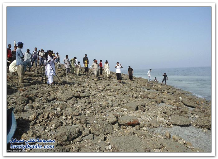 الجزيرة الجديدة التي تكونت بعد زلزال باكستان