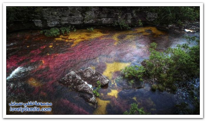 صور نهر الألوان الخمسة في كولومبيا‏
