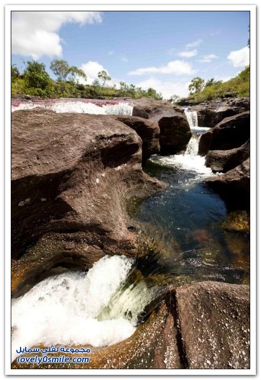 صور نهر الألوان الخمسة في كولومبيا‏