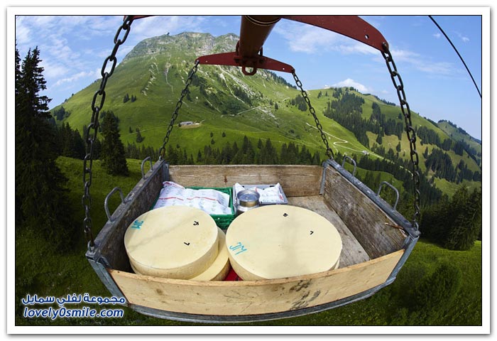 تصنيع الجبن في الريف السويسري