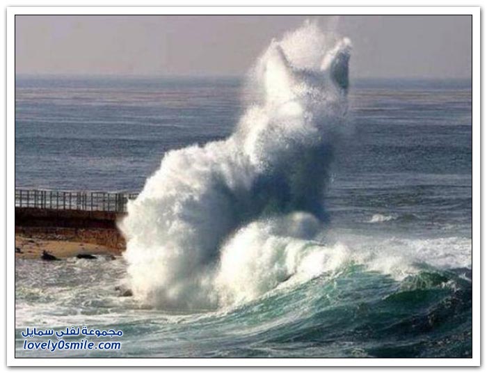 صور لحظة من الوقت ج26