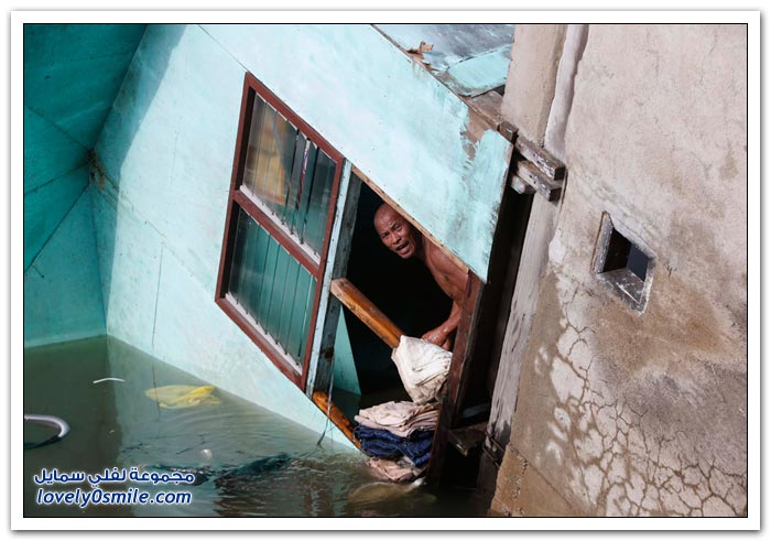 ��� ������ ���� ���� ����� �������