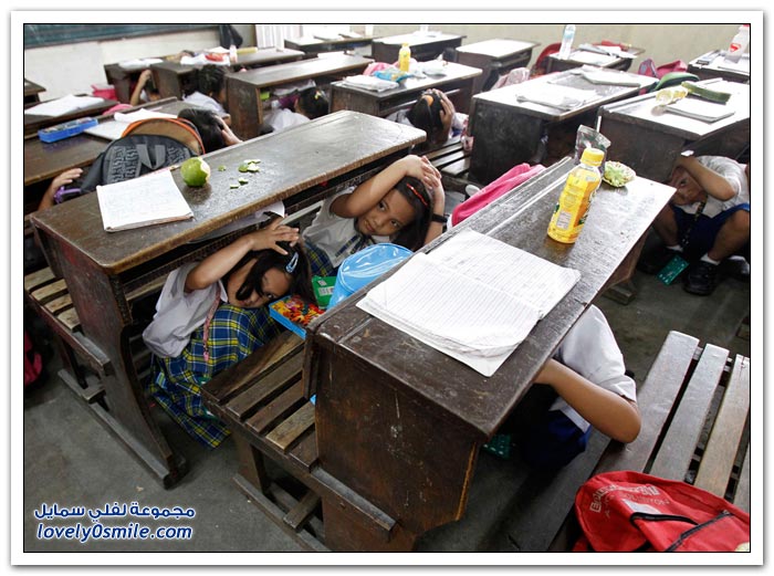 ��� ������ ���� ���� ����� �������