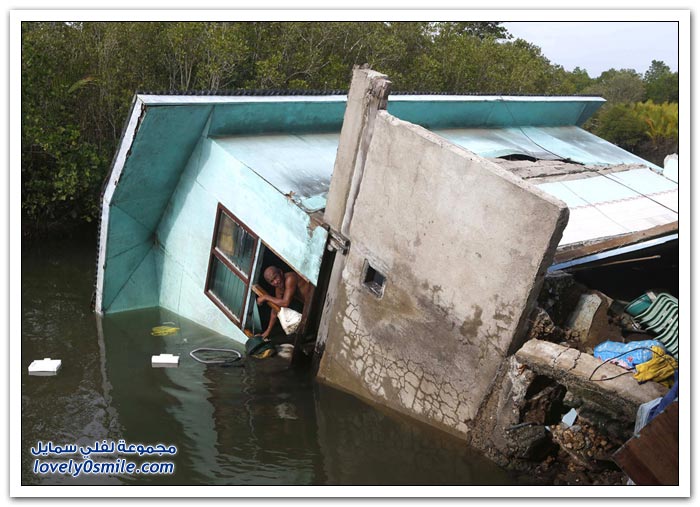 ��� ������ ���� ���� ����� �������