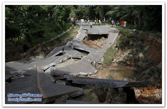 ��� ������ ���� ���� ����� �������