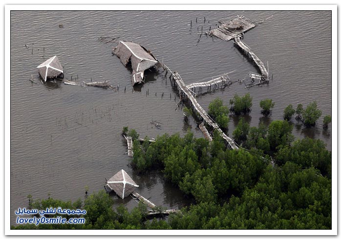 ��� ������ ���� ���� ����� �������