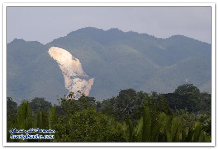 ��� ������ ���� ���� ����� �������