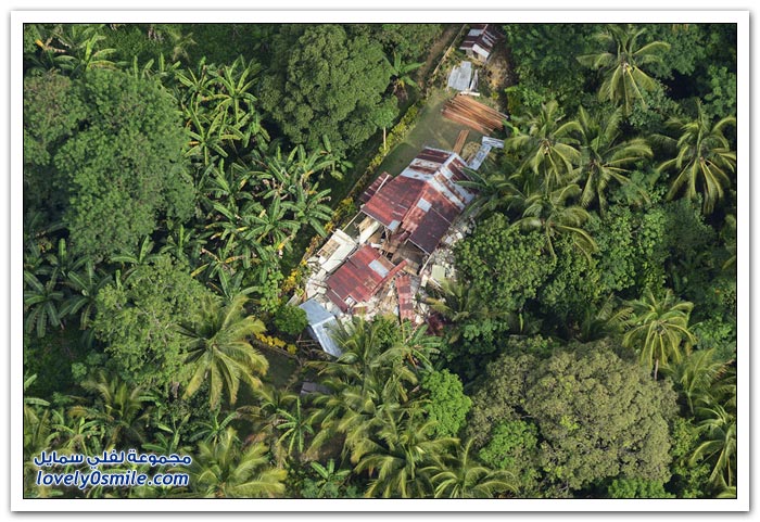 ��� ������ ���� ���� ����� �������