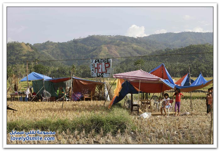 ��� ������ ���� ���� ����� �������