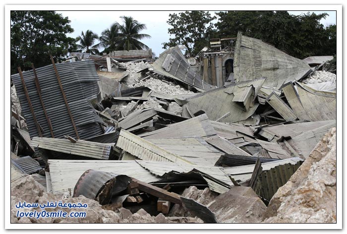 ��� ������ ���� ���� ����� �������