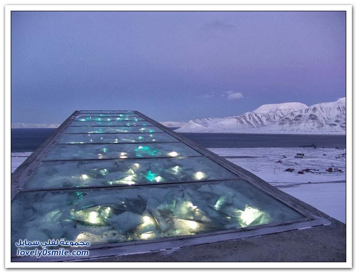 قبو سفالبارد النرويجي يحفظ البذور من الانقراض