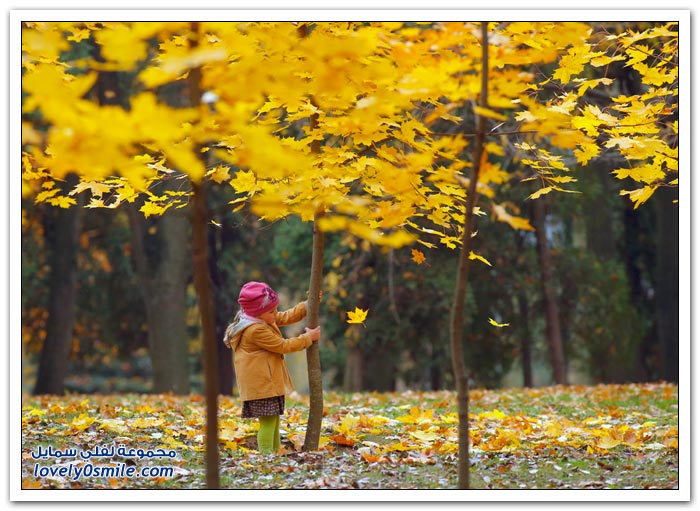 صور الخريف حول العالم لعام 2013م