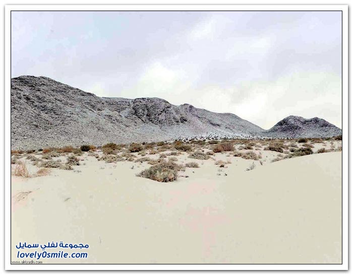 جبال اللوز تتوشح بالبياض