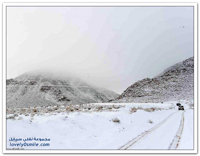 جبال اللوز تتوشح بالبياض