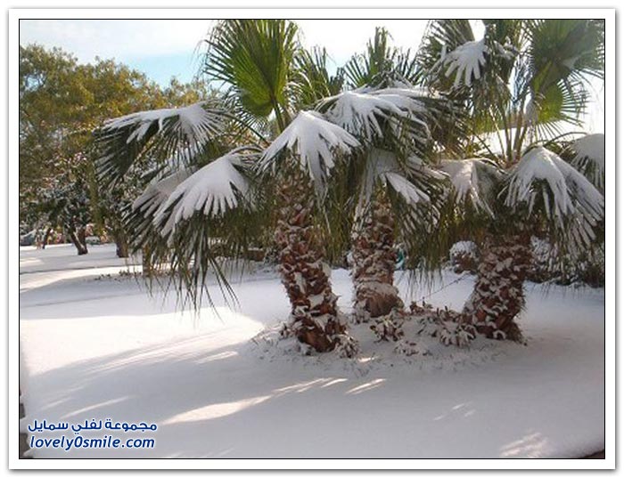 صور الثلوج في مصر والشرق الأوسط