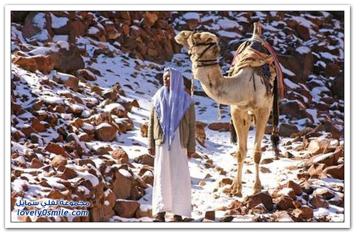 صور الثلوج في مصر والشرق الأوسط