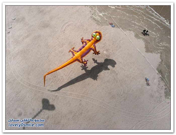 صور جوية من طائرة ورقية