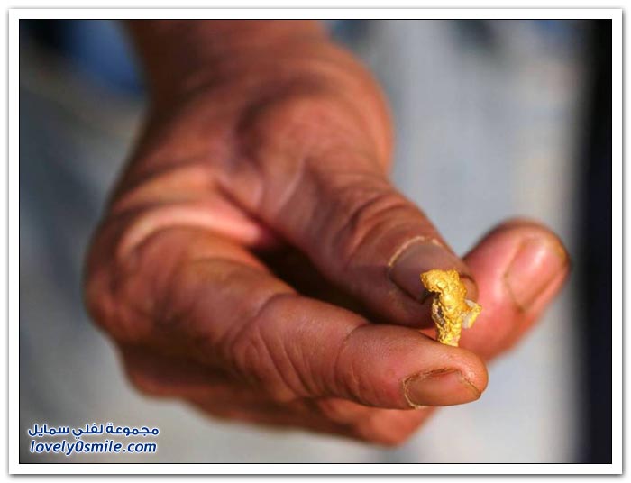 البحث عن الذهب في أنهار تايلاند
