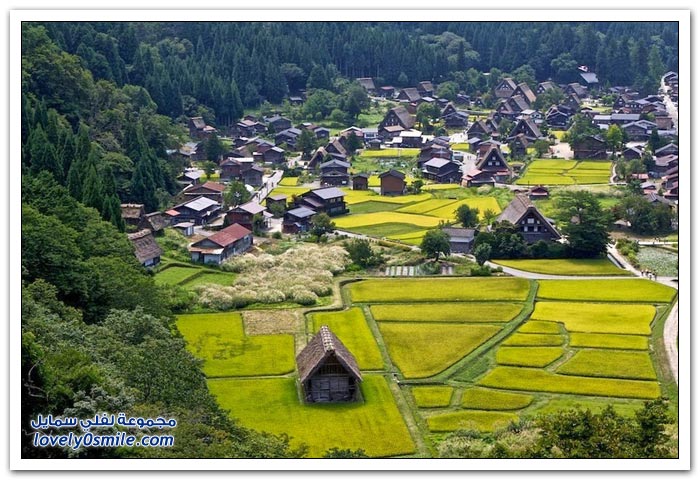 قرية شيراكاوا اليابانية
