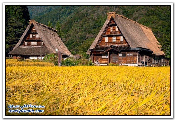 قرية شيراكاوا اليابانية